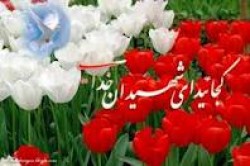 خاطرات شهيدان