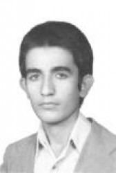 محمد آبانی آرانی